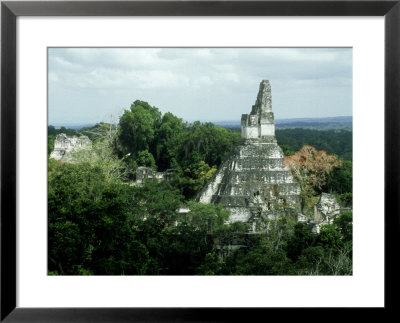 Tikal Mayan Ruins, El Peten, Guatemala by Paul Franklin Pricing Limited Edition Print image