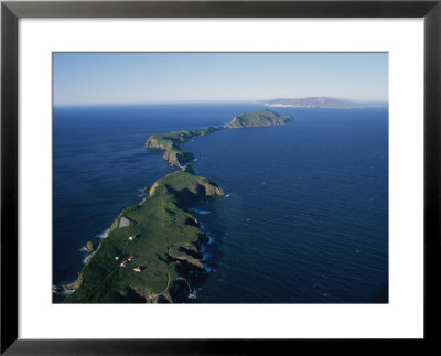 Aerial View Of East Anacapa Island In The Channel Islands by Rich Reid Pricing Limited Edition Print image