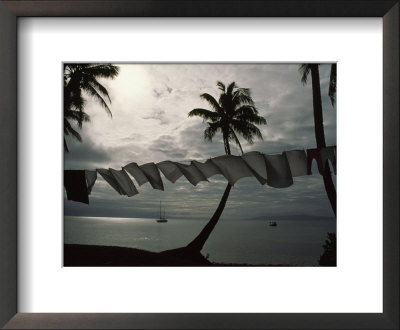 Buca Bay, Laundry And Palm Trees by James L. Stanfield Pricing Limited Edition Print image