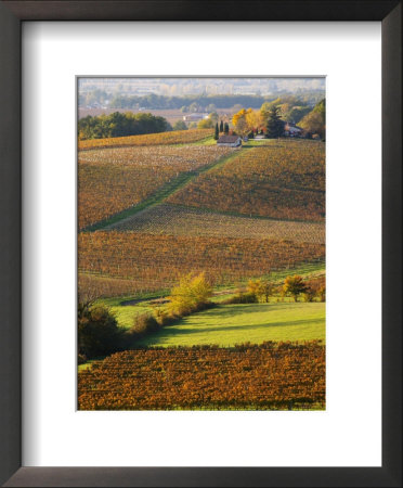 View Over The Vineyards In Bergerac, Chateau Belingard, Bergerac, Dordogne, France by Per Karlsson Pricing Limited Edition Print image