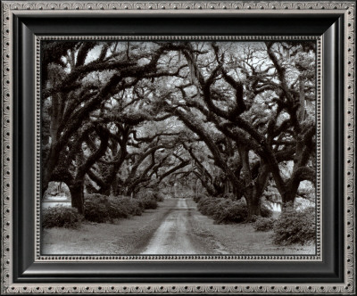 Path In The Oaks Ii, Louisiana by Monte Nagler Pricing Limited Edition Print image