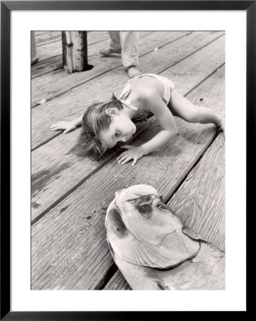 Allen Cook's Daughter Looking At The Open Mouth Of A Just Caught, Giant Fish by Alfred Eisenstaedt Pricing Limited Edition Print image