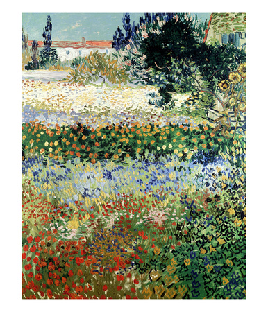 Garden In Bloom, Arles, C.1888 by Vincent Van Gogh Pricing Limited Edition Print image