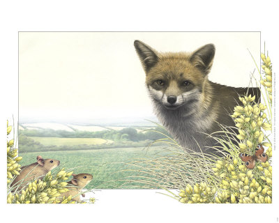 Fox And Mice by Alan Baker Pricing Limited Edition Print image