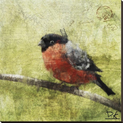 Bird Buddy I by Kay Daichi Pricing Limited Edition Print image