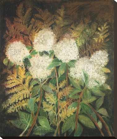 Hydrangeas And Ferns by Maret Hensick Pricing Limited Edition Print image
