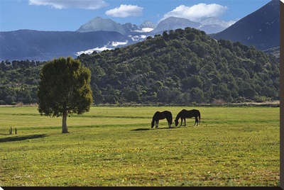 Mancos Morning by Barry Hart Pricing Limited Edition Print image