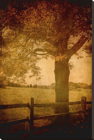 Days Gone By by Linda Plaisted Pricing Limited Edition Print image