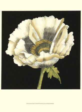Dramatic Poppy I by Jennifer Goldberger Pricing Limited Edition Print image