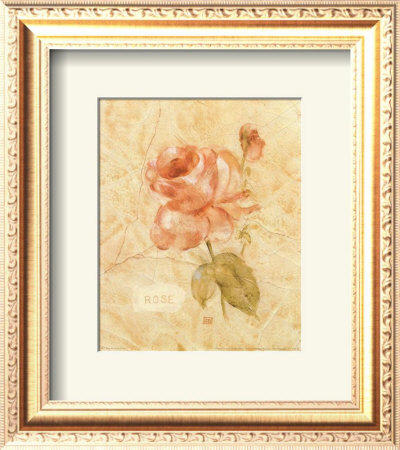 Rose On Cracked Linen by Cheri Blum Pricing Limited Edition Print image