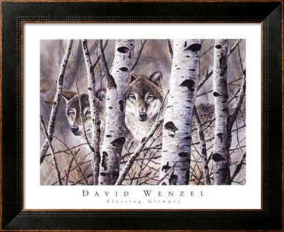 Fleeting Glimpse by David Wenzel Pricing Limited Edition Print image