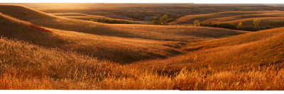 The Rolling Hills Of Konza Prairie Preserve by Jim Richardson Pricing Limited Edition Print image
