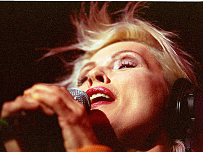 Blondie by Nick Elliott Pricing Limited Edition Print image