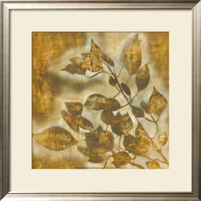 Organic Harmony Ii by Randy Hibberd Pricing Limited Edition Print image