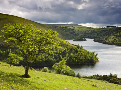 Meldon Reservoir, Dartmoor Np, Devon, Uk, In Spring With Rain Clouds by Adam Burton Pricing Limited Edition Print image