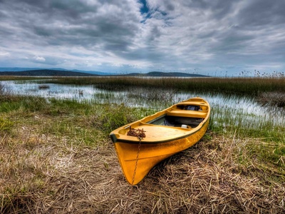 Yellow Boat by Nejdet Duzen Pricing Limited Edition Print image