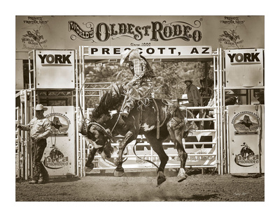 Buckin' Paint by Barry Hart Pricing Limited Edition Print image