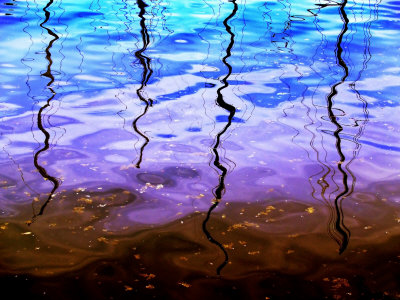 Reflections Of Boat Masts In A Lake by Images Monsoon Pricing Limited Edition Print image