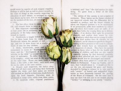 Dried Roses On Old Book by Images Monsoon Pricing Limited Edition Print image