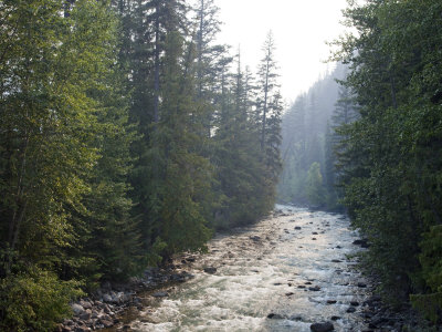 Mountain River Running Over Stones by Taylor S. Kennedy Pricing Limited Edition Print image