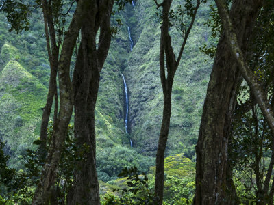 Waterfall As Seen Through Some Trees In The Waipi'o Valley by Todd Gipstein Pricing Limited Edition Print image
