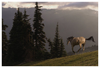 Happy Horse by Steve Hunziker Pricing Limited Edition Print image