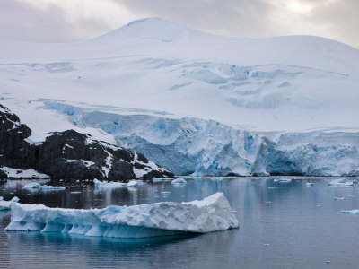 Icebergs And Mountains In The Antarctic Peninsula, Antarctica, Polar Regions by Adam Burton Pricing Limited Edition Print image