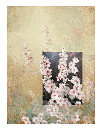 Cherry Blossoms 3 by Kurt Novak Pricing Limited Edition Print image