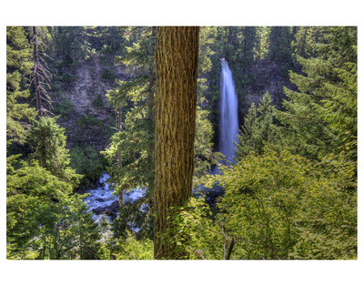 Mill Creek Falls by Michael Polk Pricing Limited Edition Print image