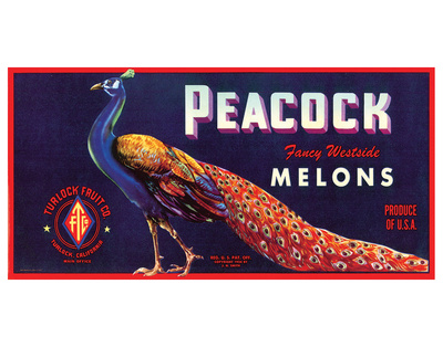 Peacock Melons by J.H. Smith Pricing Limited Edition Print image