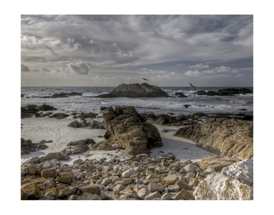 Pebble Beach Bird Rock I by Michael Polk Pricing Limited Edition Print image