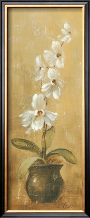 Orchids In Bronze Bowl Ii by Silvia Vassileva Pricing Limited Edition Print image
