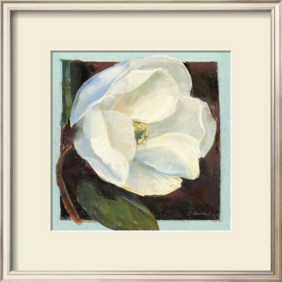 Magnolia I by Carol Rowan Pricing Limited Edition Print image