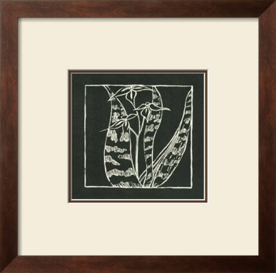 Exotic Woodblock In Black Iii by Chariklia Zarris Pricing Limited Edition Print image