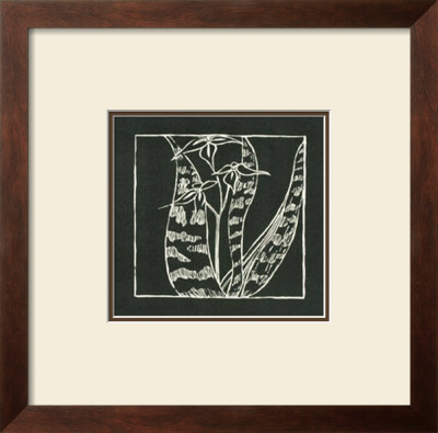Exotic Woodblock In Black Iii by Chariklia Zarris Pricing Limited Edition Print image