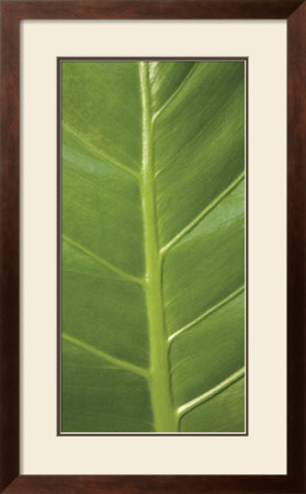 Verdant Trio Iii by Boyce Watt Pricing Limited Edition Print image