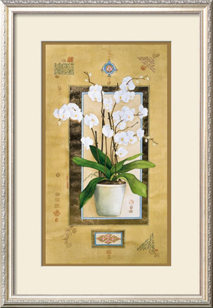 Phalaenopsis I by Nahid Ghodsi Pricing Limited Edition Print image