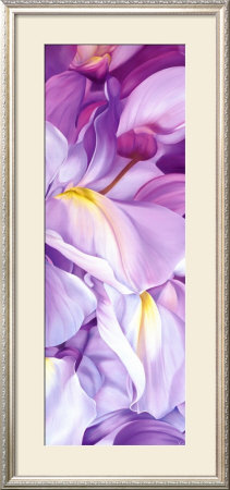 Wisteria I by Holzhaus Poelstra Pricing Limited Edition Print image
