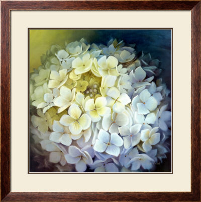 Hydrangea Portrait by Lisa Audit Pricing Limited Edition Print image