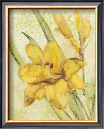 Yellow Day Lily by Cheri Blum Pricing Limited Edition Print image