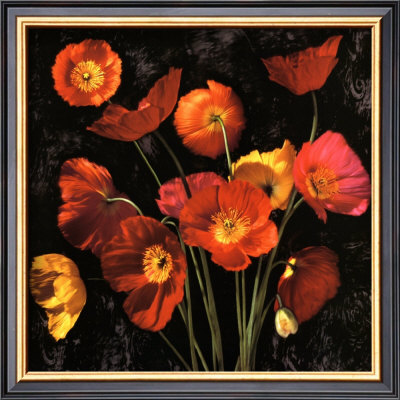 Poppy Bouquet Ii by John Seba Pricing Limited Edition Print image