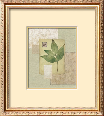 Leaf Collage I by Tim Coffey Pricing Limited Edition Print image