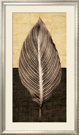 Palm Leaf I by John Seba Pricing Limited Edition Print image