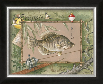Crappie by Anita Phillips Pricing Limited Edition Print image