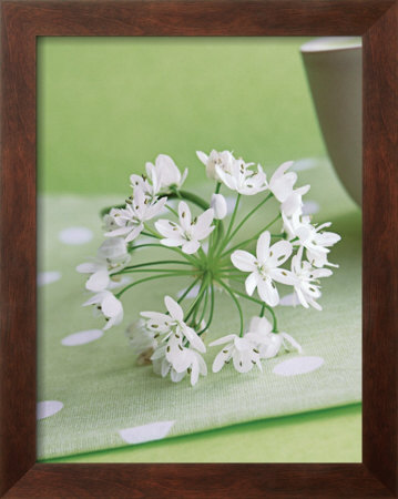 Printemps En Vert Et Blanc Ii by Amelie Vuillon Pricing Limited Edition Print image