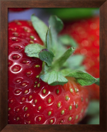 Strawberry by Sara Deluca Pricing Limited Edition Print image