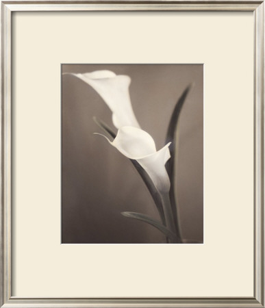 Callas by Laurie Eastwood Pricing Limited Edition Print image