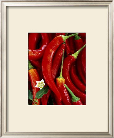 Red Peppers by Michael Rosenfeld Pricing Limited Edition Print image