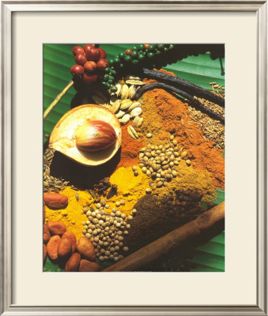 Spices by Bruno Morandi Pricing Limited Edition Print image