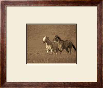 Partners by Wendy Caro Pricing Limited Edition Print image